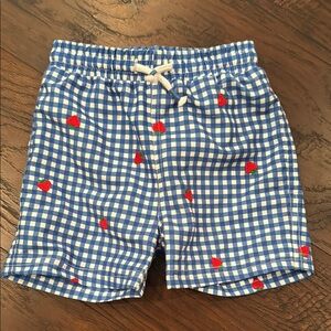 Blue Gingham Kids Shorts with Strawberry Print